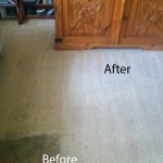 Bedroom-Carpet-Cleaning-San-Bruno