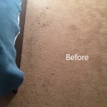 Bedroom-Carpet-Cleaning-San-Bruno-A