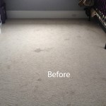 Bedroom-Wall-to-Wall-Carpet-Cleaning-San-Bruno-A