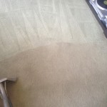 Carpet-Cleaning-San-Bruno