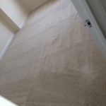 San-Bruno-Carpet-Clean-room