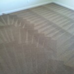 San-Bruno-Carpet-Cleaning-Wall-To-Wall