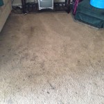 San-Bruno-Dirty-Carpet