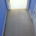 San-Bruno-Vomit-2-after-carpet