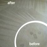San-Bruno-Wine-Stain-Carpet-Cleaning